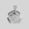 TS Silver Pendant (with chip 4.2)